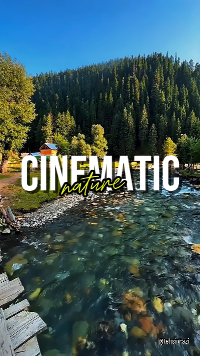 NATURE CINÉMATIQUE