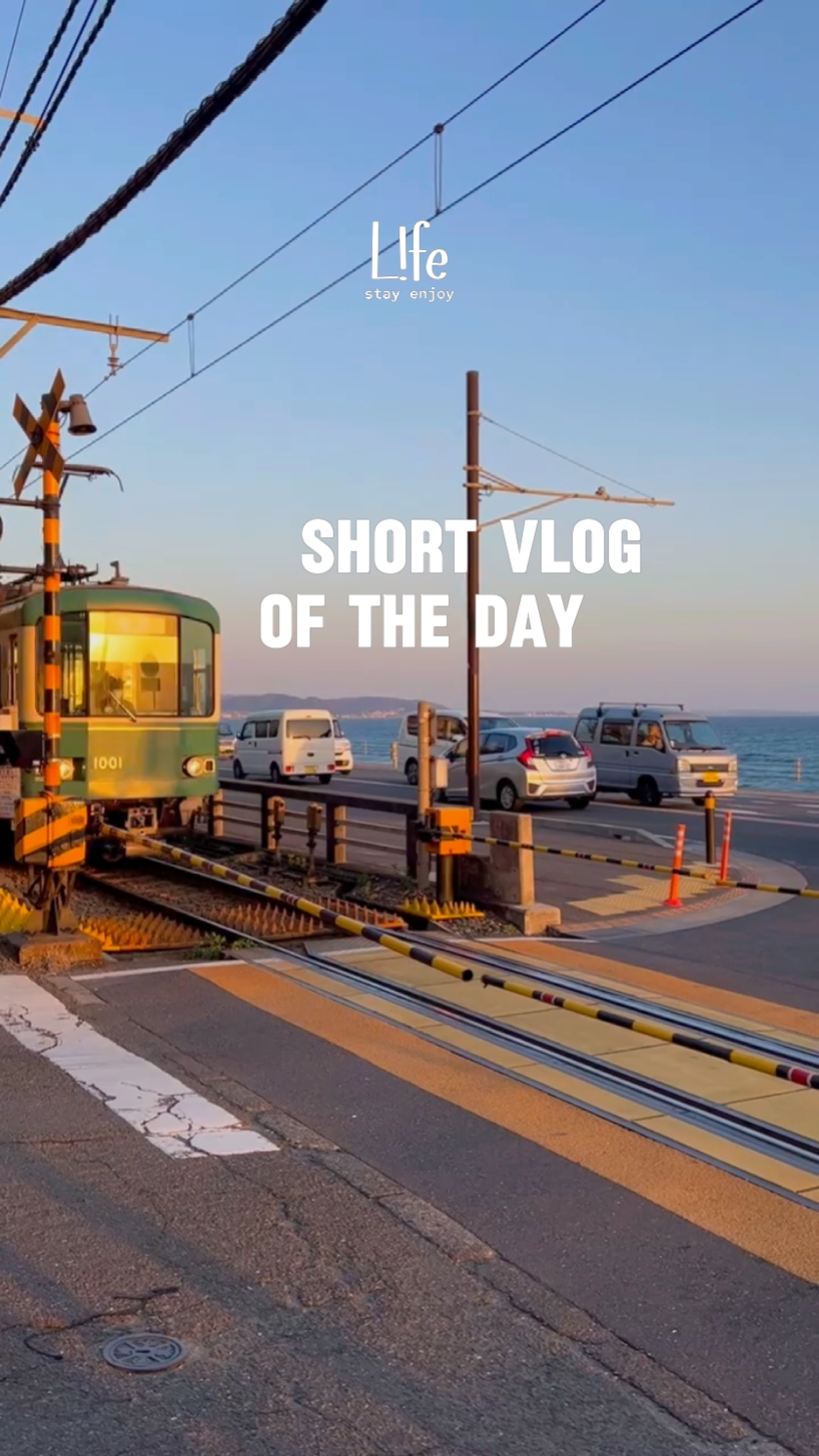 Mini Vlog