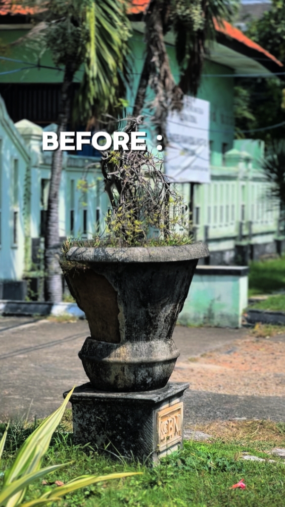 ANTES VS DEPOIS 