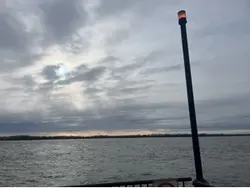 Beautiful