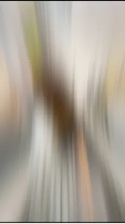 Bintang❌DanjiSungai