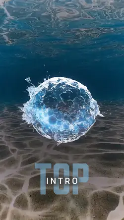 Water Intro Top