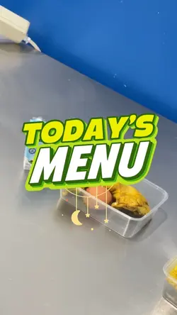 MENU MBG