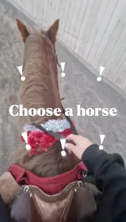 choose a horse!