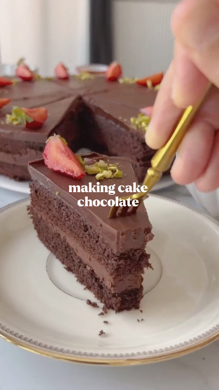 cake chocolate 
