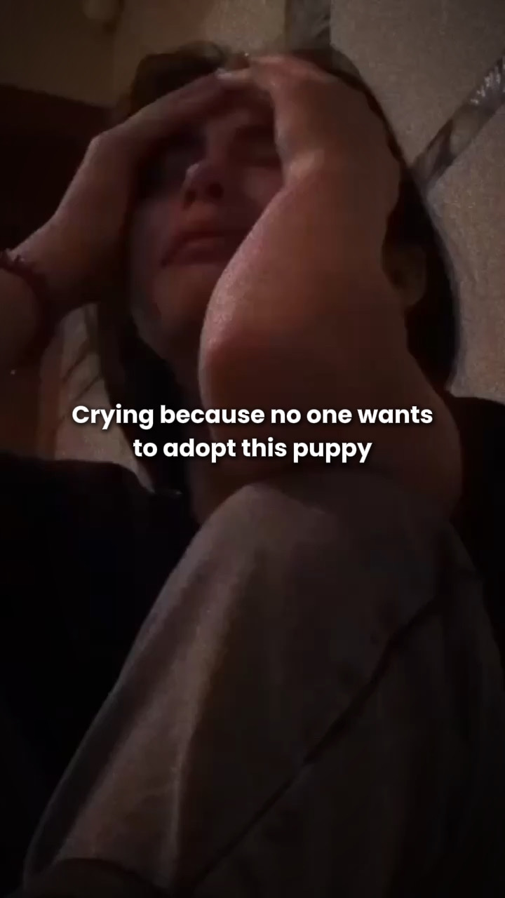 Adopsi pupp