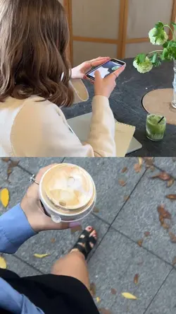 2 grid videos
