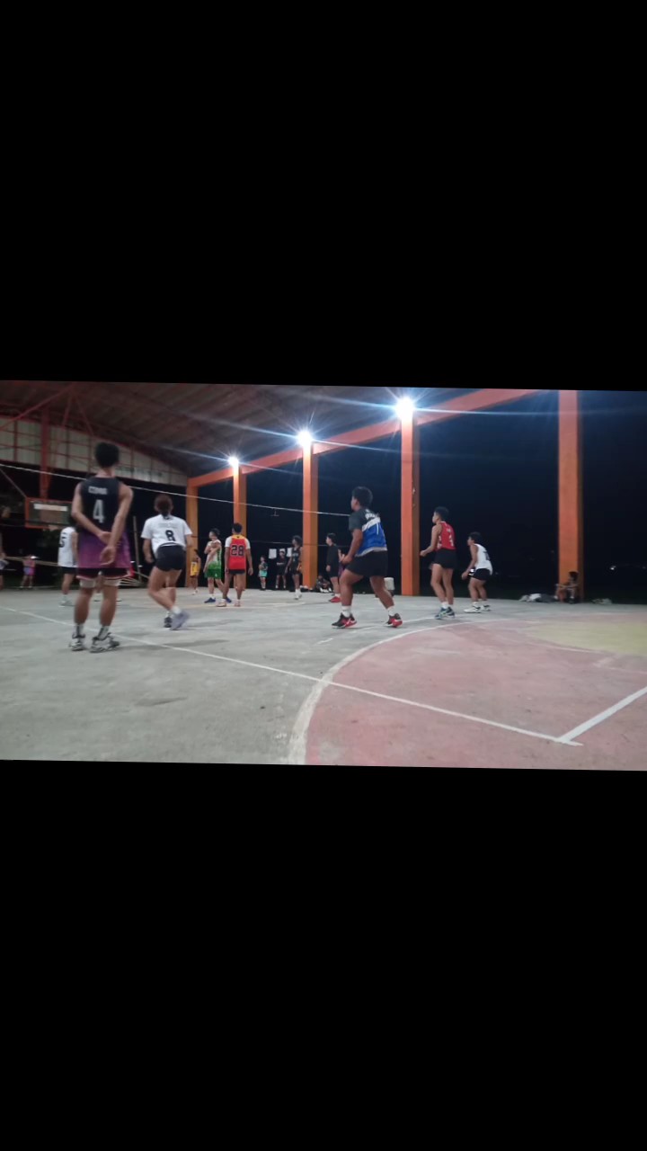 Libero-Volleyball 