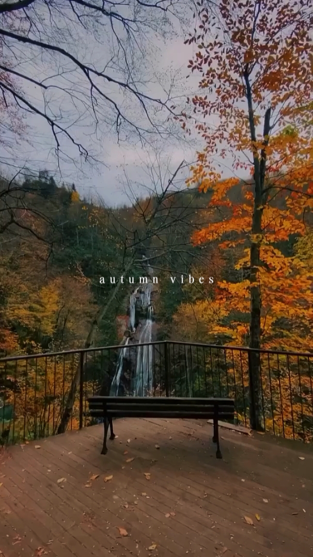 Vibraciones de otoño