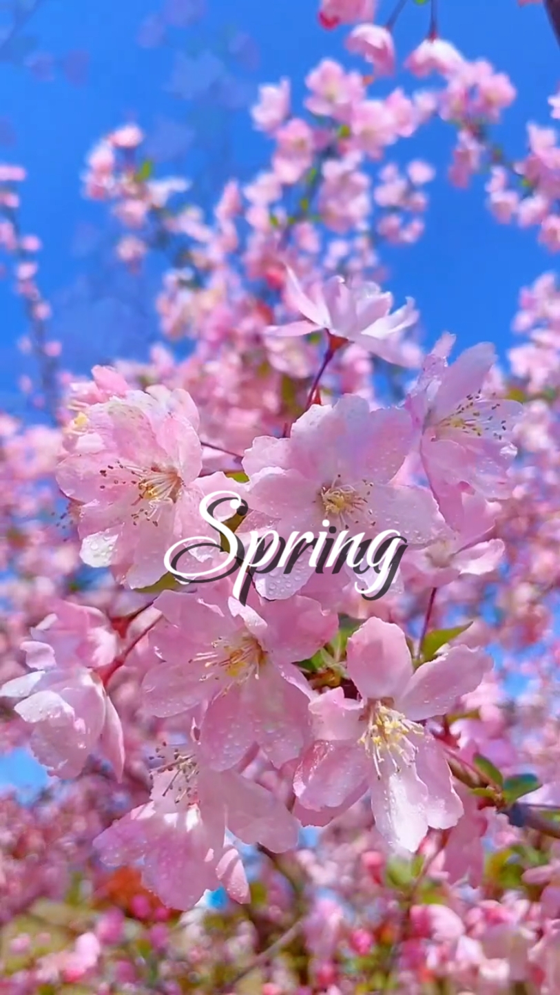 Spring