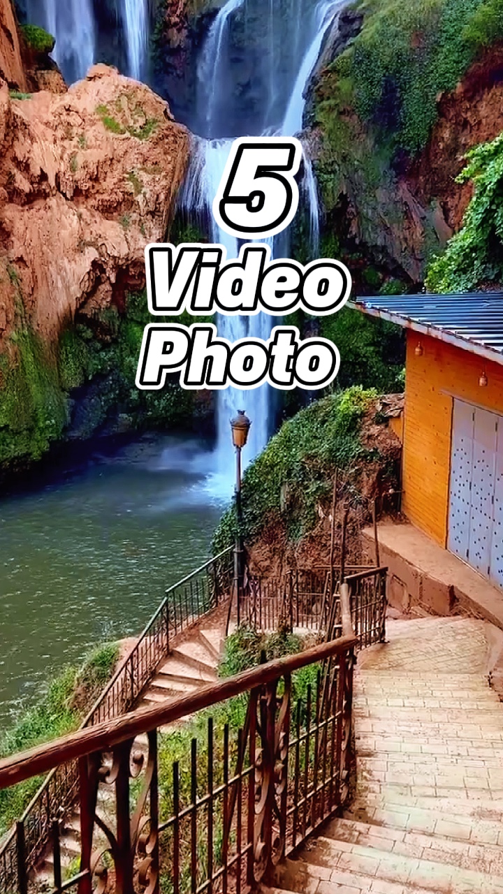 5 clip or photo 