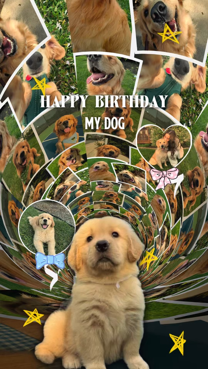 Anniversaire mon chien
