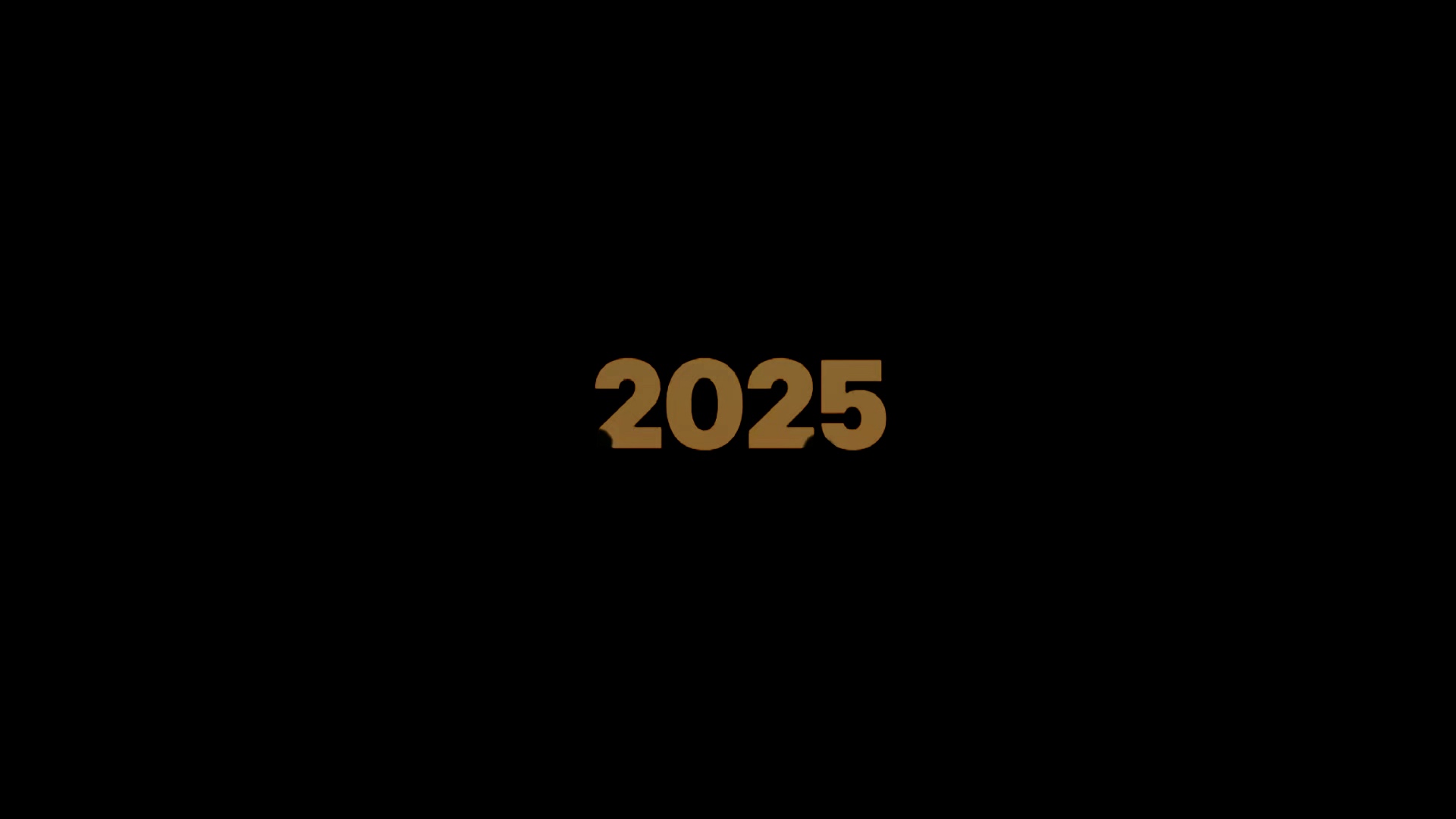 Özet 2025