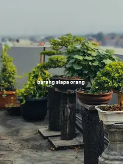 NGOPI MASUK SURGA 