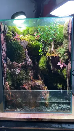 Suối chảy yên bình