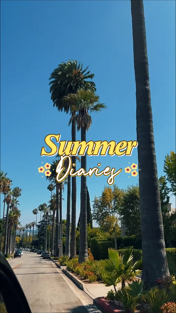 Summer Diaries
