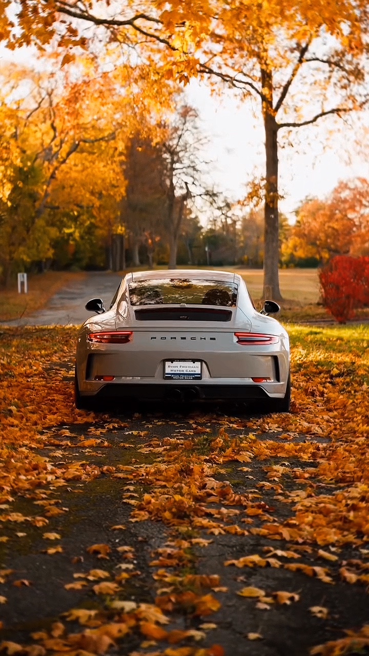 PORSCHE |🐦 🔥⛓️💥