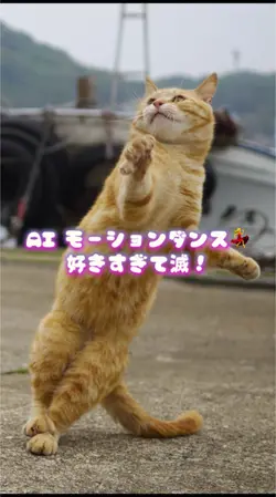 AI モーションダンス