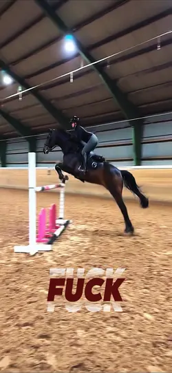 Horse Freaked Out