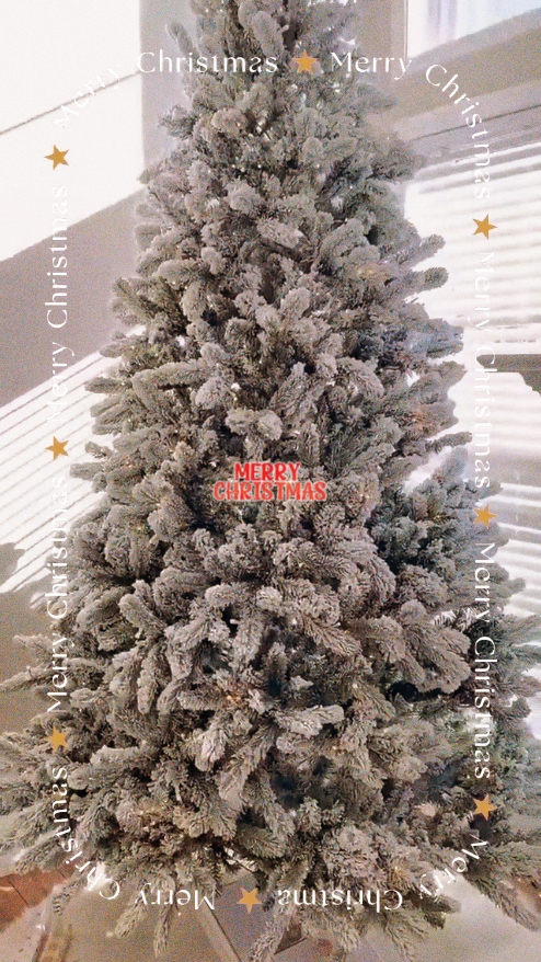 Merry christmas