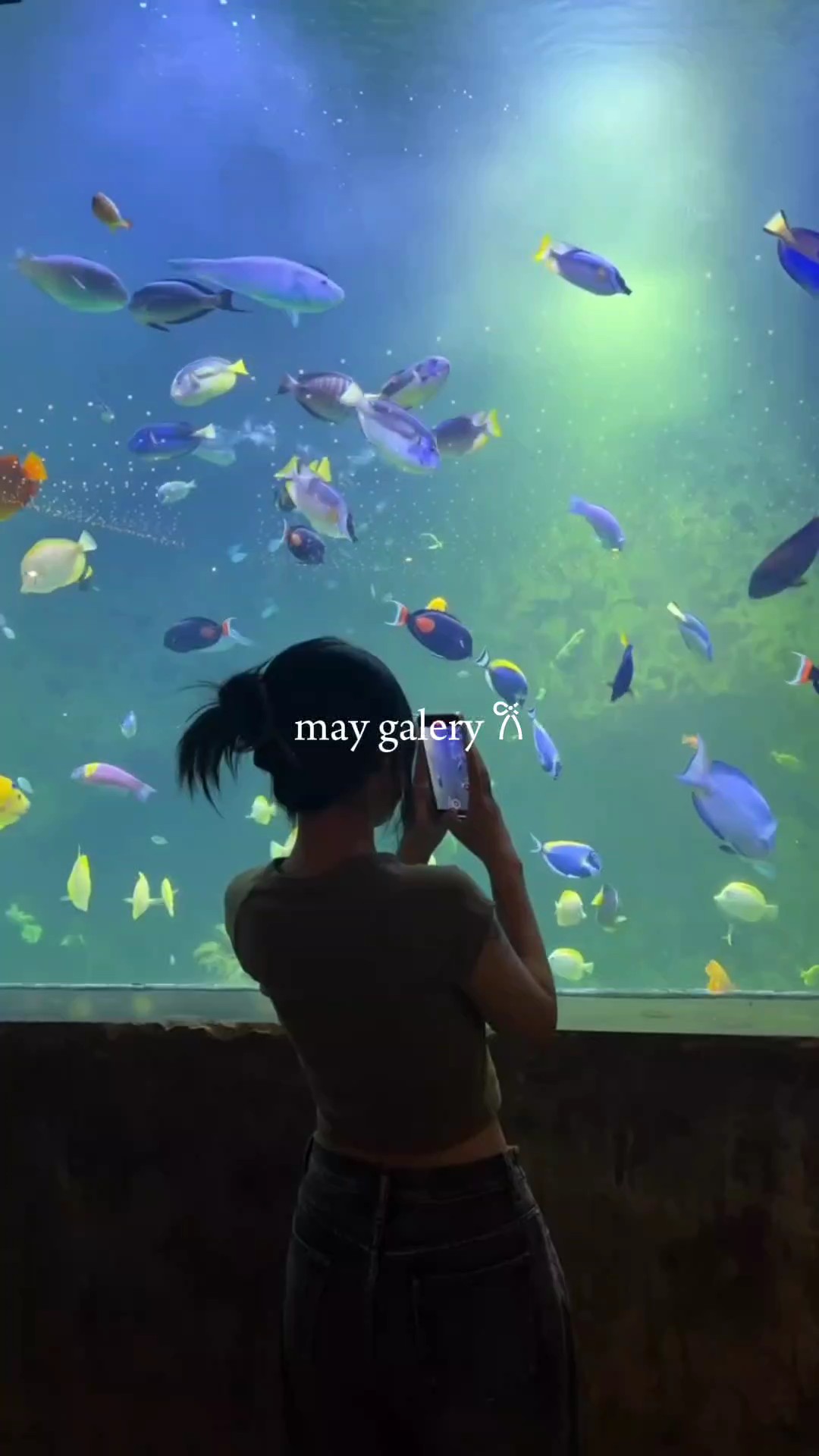 5vid + 52foto mai 