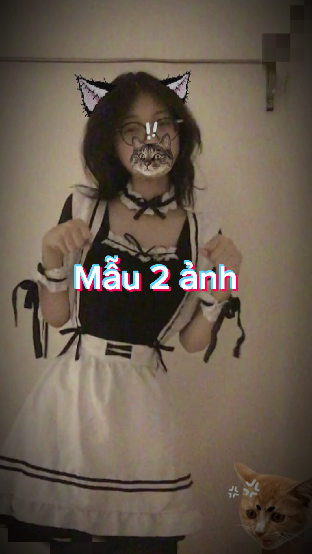 Mẫu 2 ảnh xịn