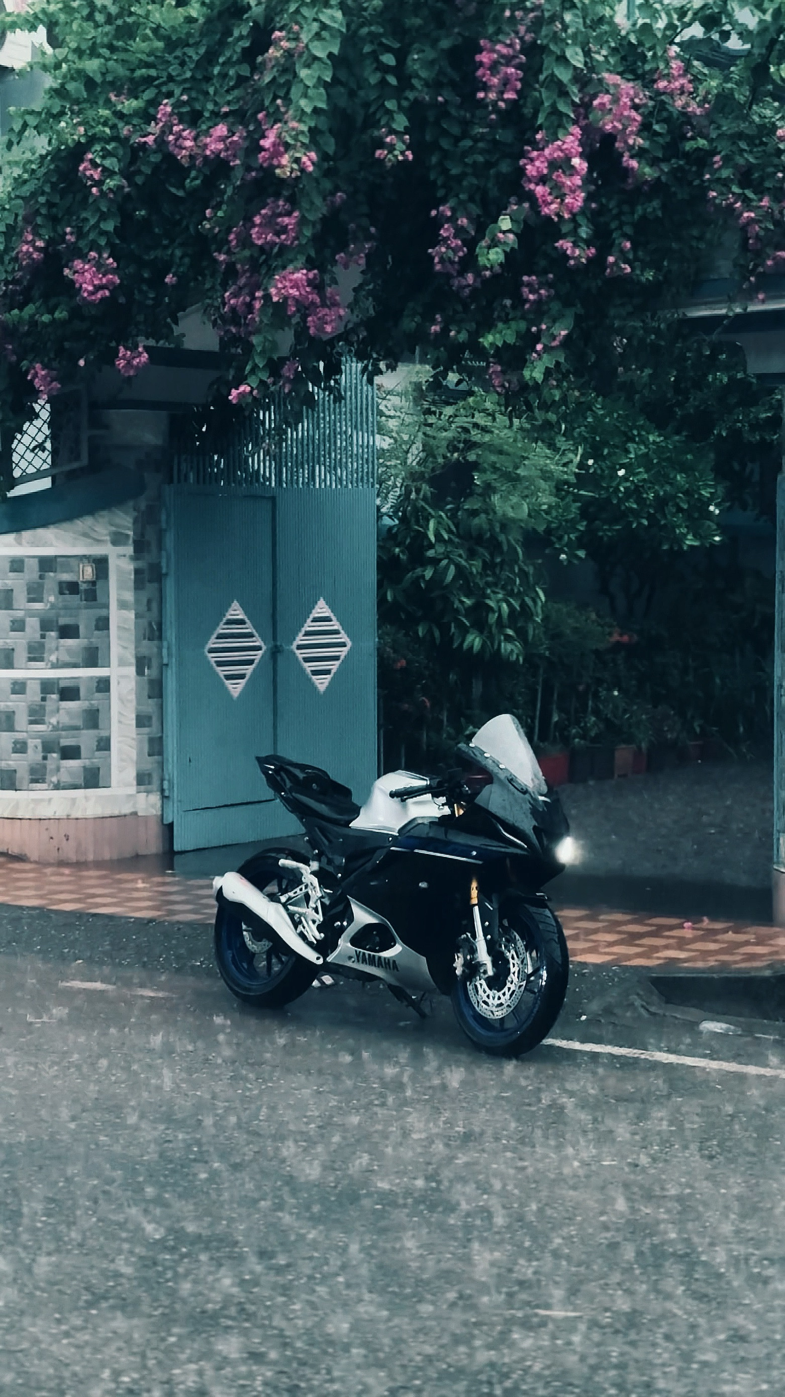 Clima 🌦️ 