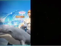 1 ảnh