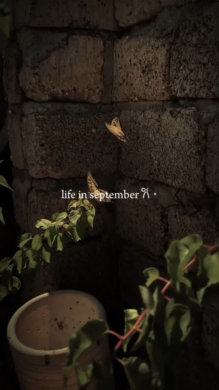 life in september