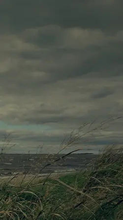 Ambis pengeransing..