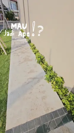 Mau Jadi Apa??