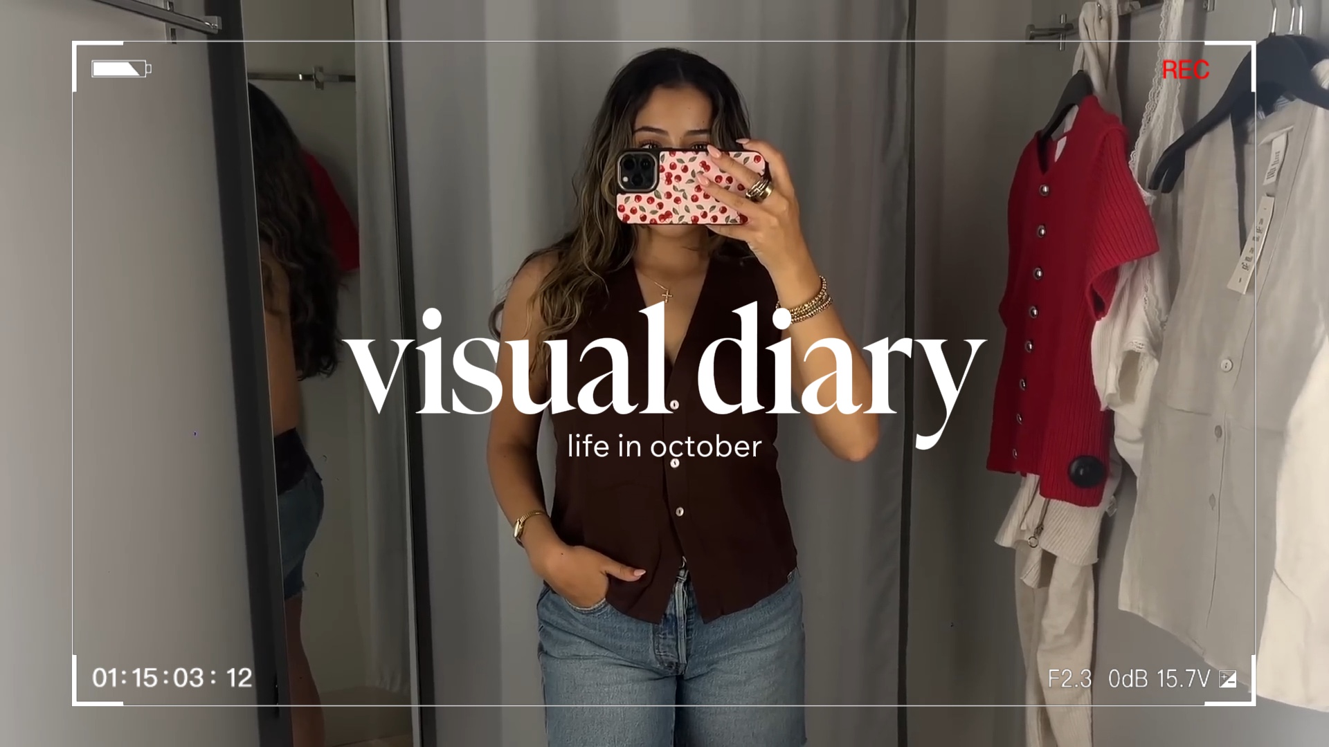 visual diary 