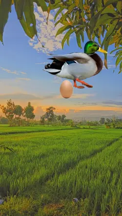 funny happy birthday