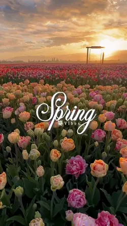spring vibes