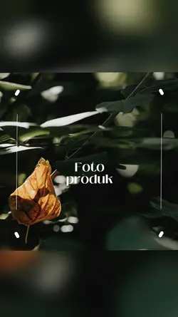 5 foto