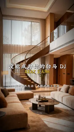 没能成为你的白马 DJ