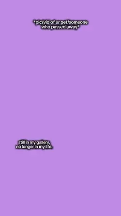 Stillinmygallery