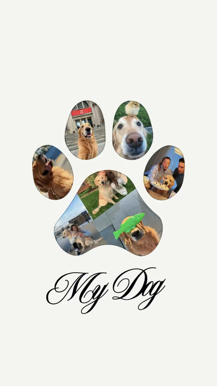 I love my dog