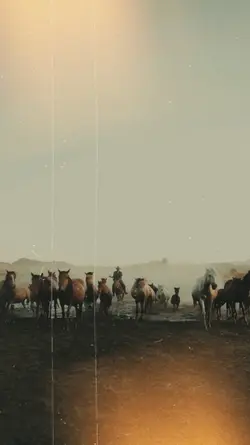 Cowboy vibes