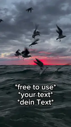 Free to use video