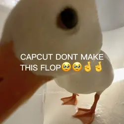ducks >:3