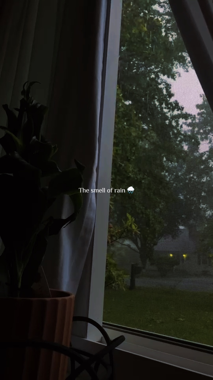 L'odeur de la pluie 🌧️