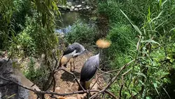 Adhan ,Azan relaxing