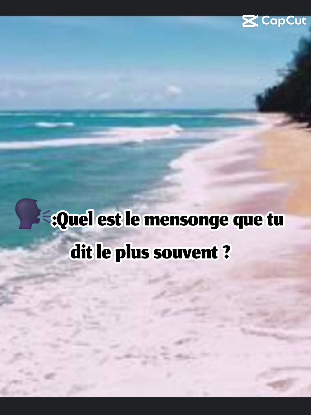 Quel est le mensonge