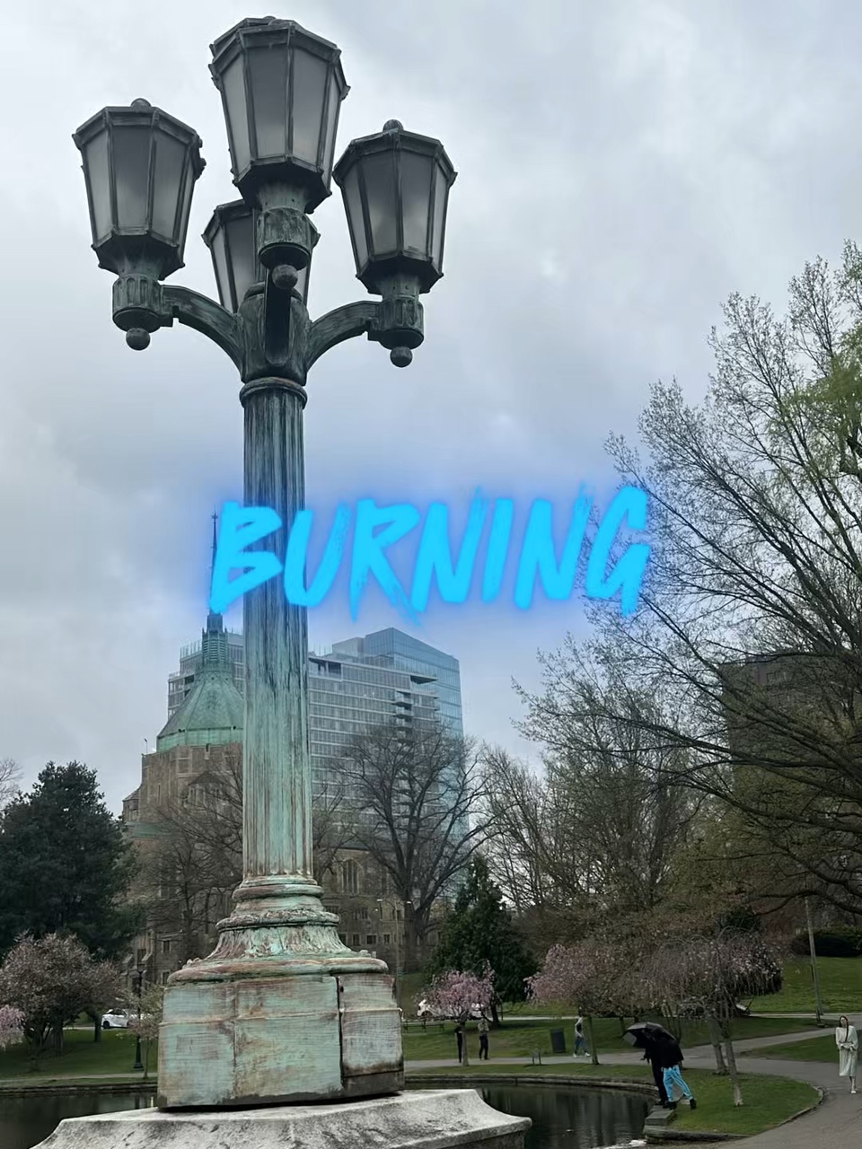 Cover Picture