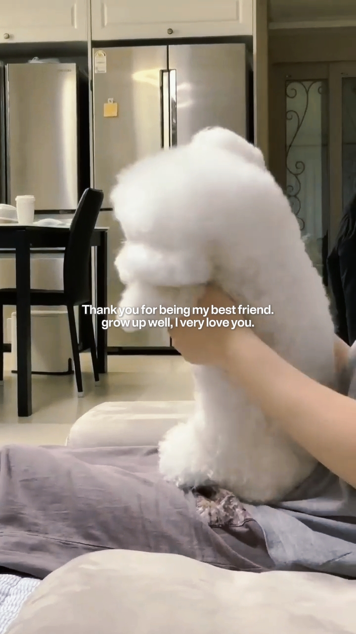 faire pousser un chien 