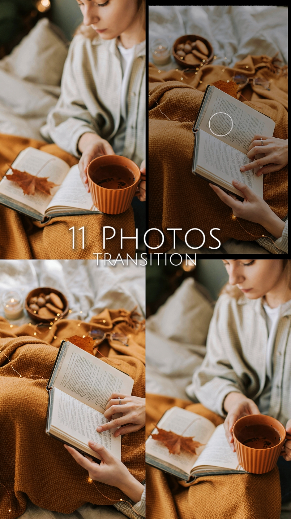 11 Fotos Transição