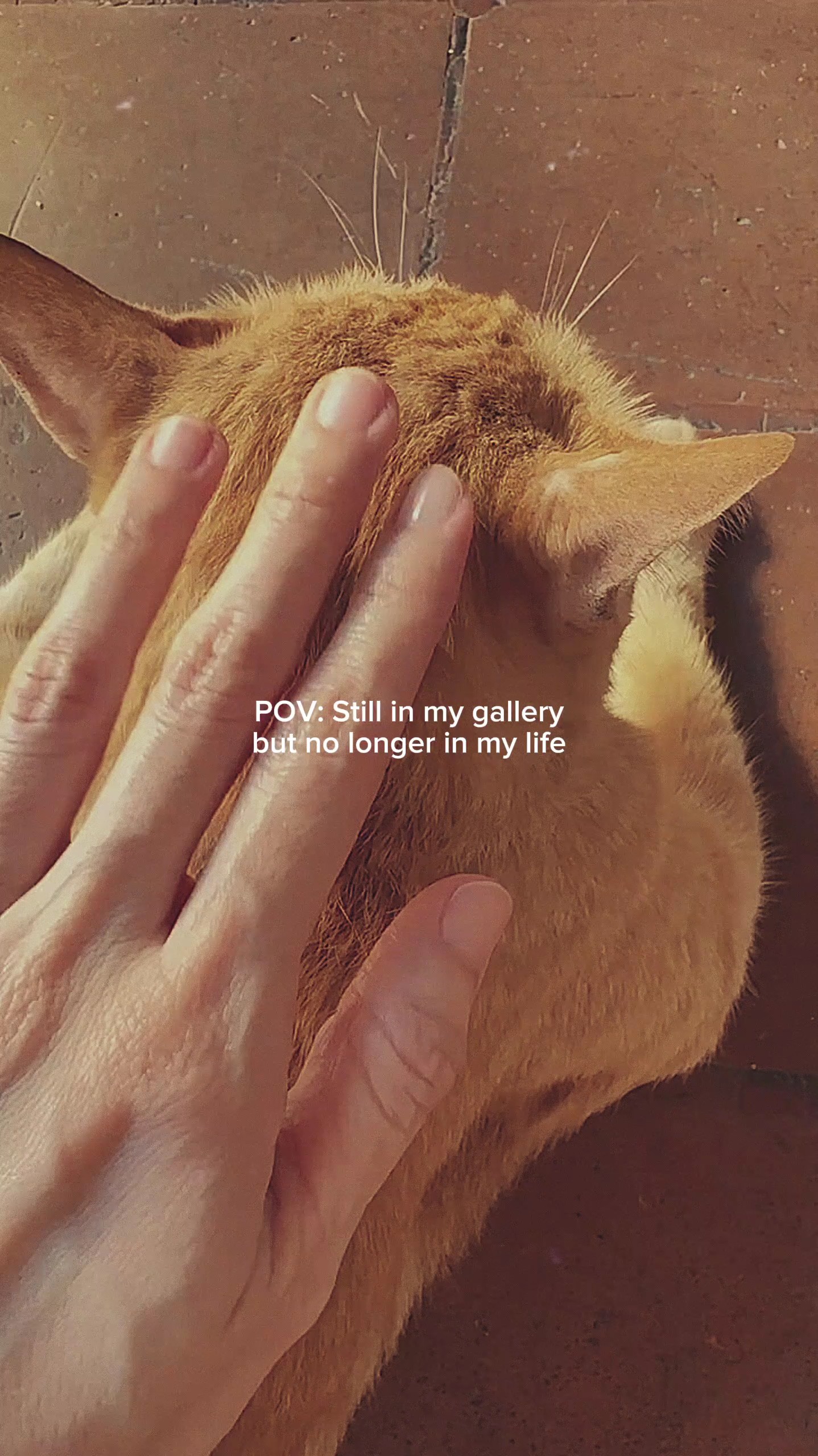 Toujours dans ma galerie.