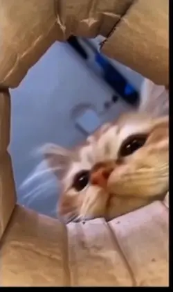 Sil gözyaşlarını