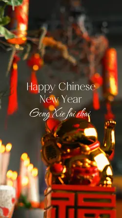 Lunar new year 